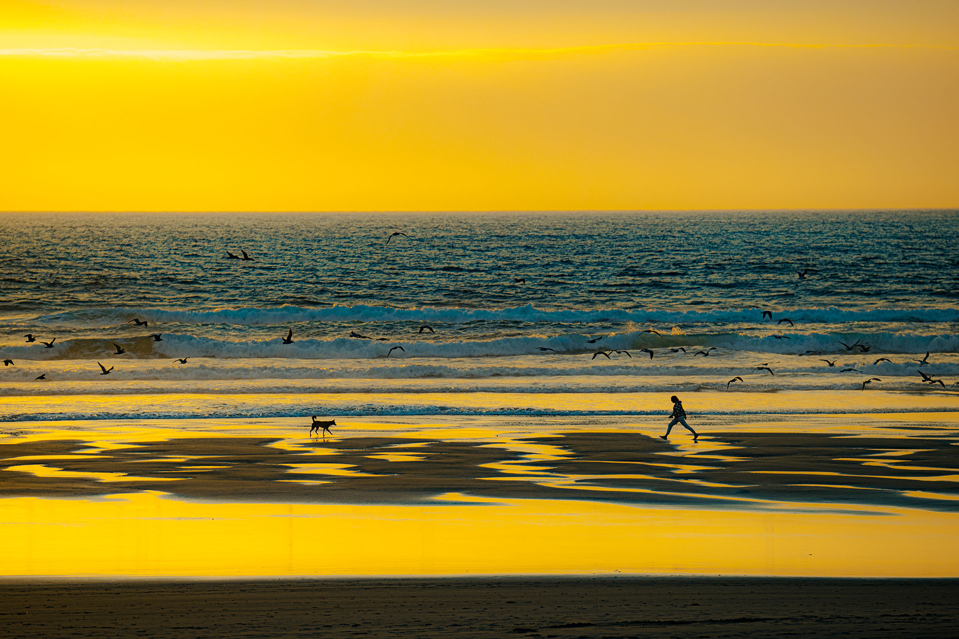 Golden Hour - Oregon Coast
